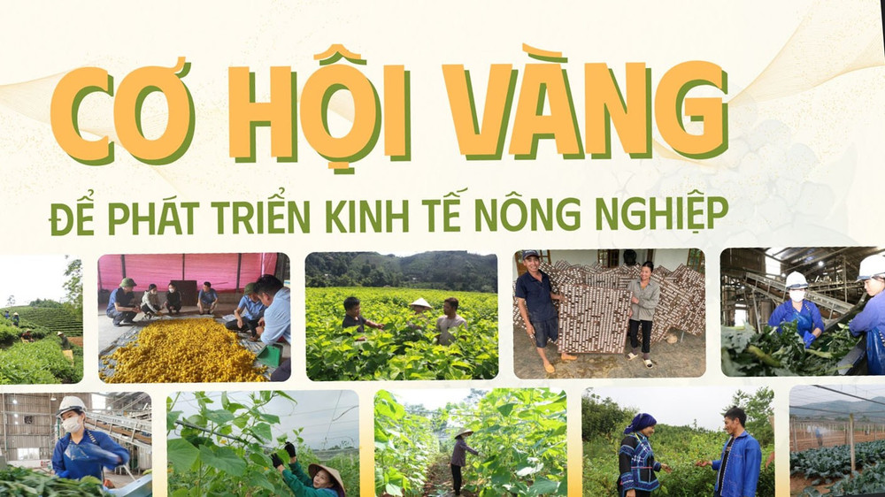 Ứng dụng máy sấy trong ngành nông sản