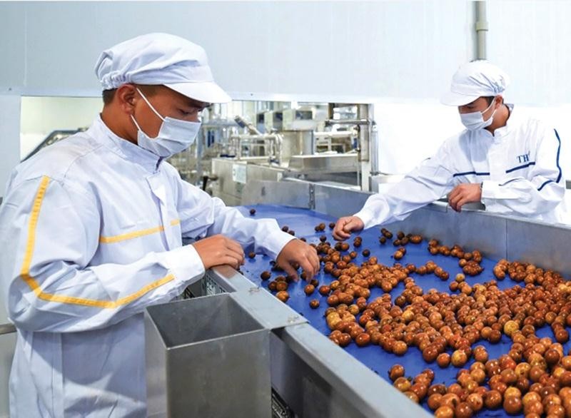 Ứng dụng máy sấy trong ngành nông sản