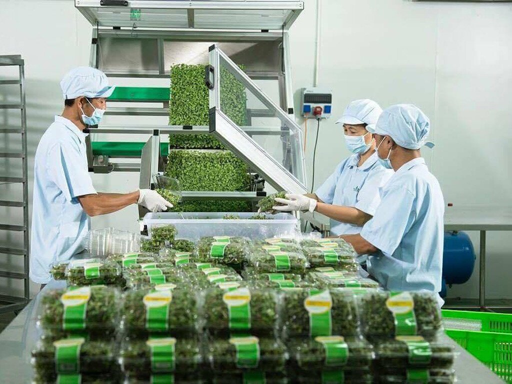 Ứng dụng máy sấy trong ngành nông sản