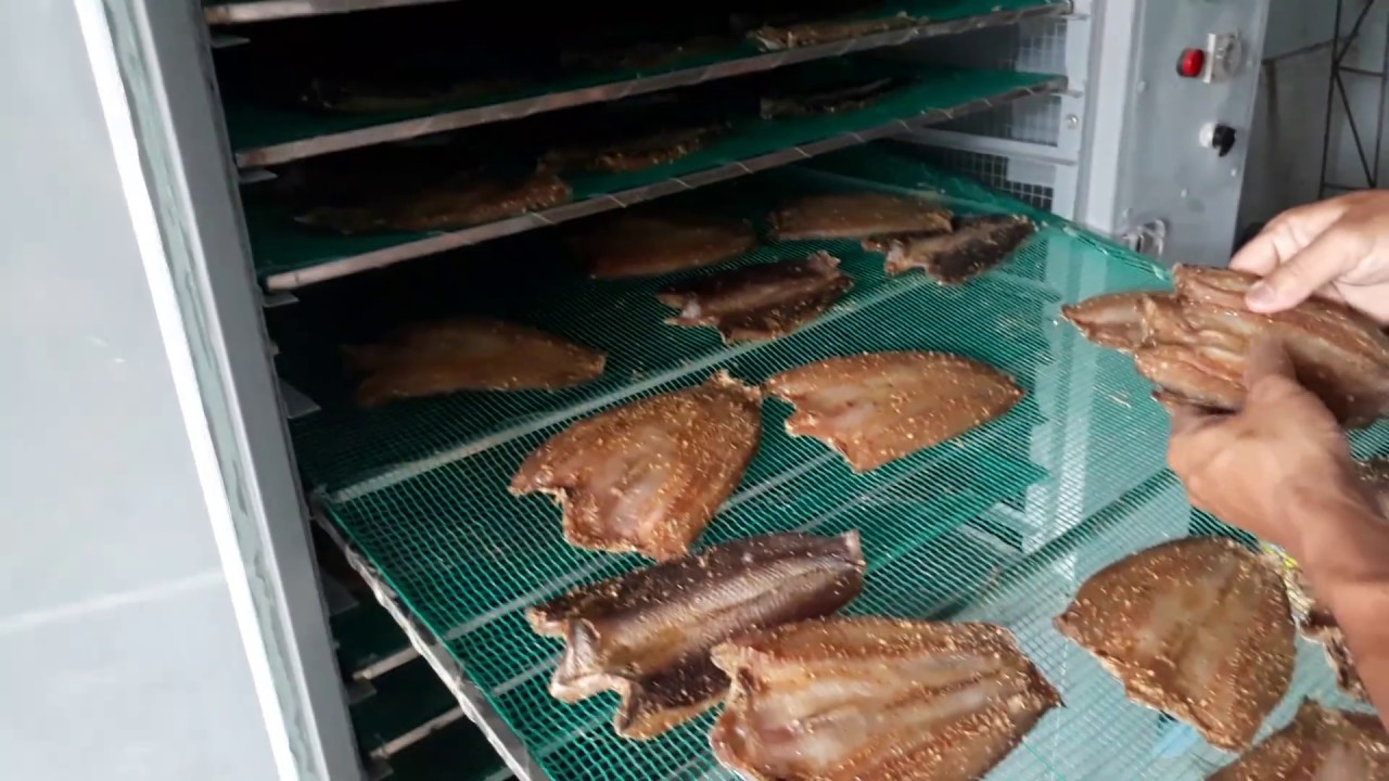 lò sấy cá