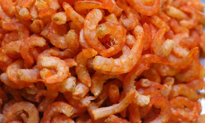 lò sấy tôm khô 