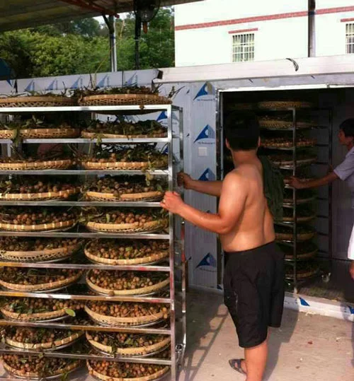 lò sấy vải 