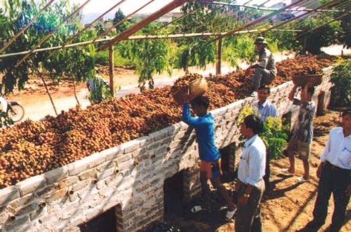 lò sấy vải 