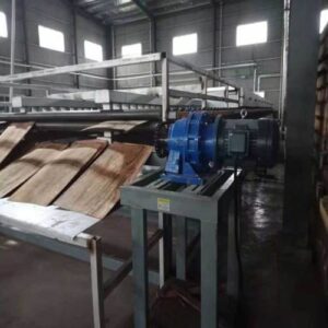 lò sấy ván bóc