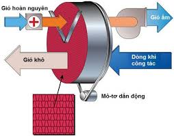 Cơ chế tách ẩm tự động bằng sóng vi ba trong lò sấy công nghiệp