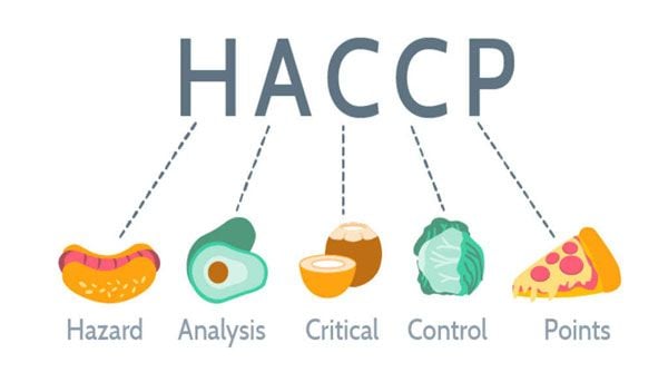 Lò sấy thực phẩm phải đáp ứng tiêu chuẩn HACCP